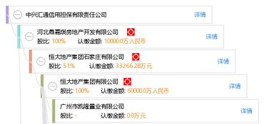 中興匯通信用擔保有限責(zé)任公司