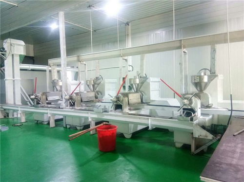 食用油牡丹籽油精煉油設(shè)備多少錢 悅恒機械誠信經(jīng)營